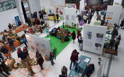 «Las mujeres han cobrado un 5% más que los hombres»