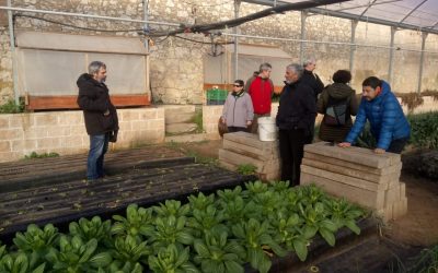 «Encontramos imprescindible la economía solidaria como respuesta a la realidad económica imperante», REAS Castilla y León