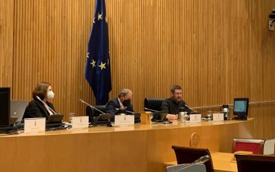 Economía Social y Solidaria, palanca de reconstrucción del tejido social, el equilibrio territorial y protección de ecosistemas.
