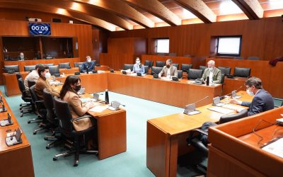 REAS Aragón sobre la Ley de Economía Social aragonesa
