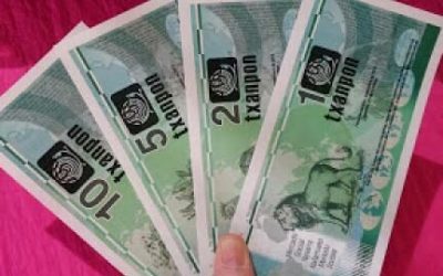 El Txanpon a cuestión. Monedas Sociales e incidencia en el territorio