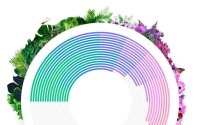 La biodiversidad y su papel en la economía