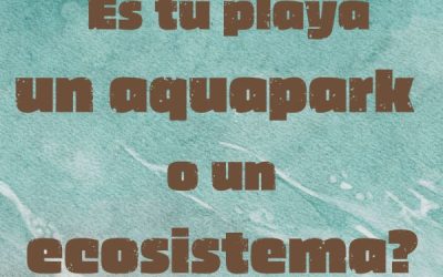 Ecologistas en Acción, por la gestión sostenible de las playas