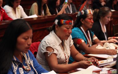 Ocho tesis para profundizar la lucha feminista