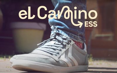 ¿Qué es El Camino ESS?