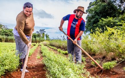 El crecimiento de los créditos a proyectos transformadores a través de Oikocredit