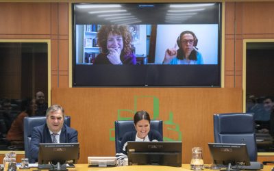 La ESS avanza en su reconocimiento en la nueva Ley de Cooperación y Solidaridad vasca