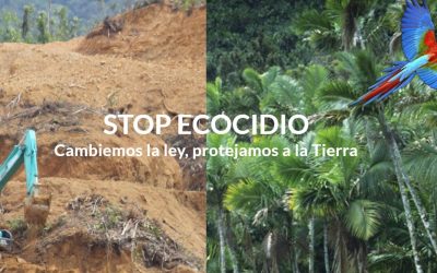 La UE sancionará los daños ambientales «comparables al ecocidio»