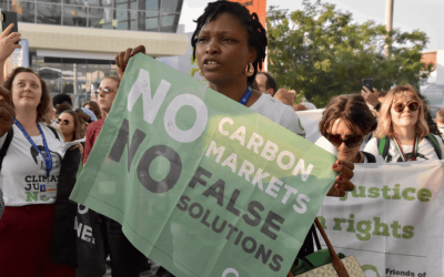 La COP28 se cierra en falso