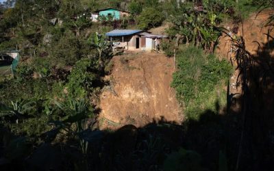 Comercio Justo pide un replanteamiento urgente de la acción climática ante la COP28