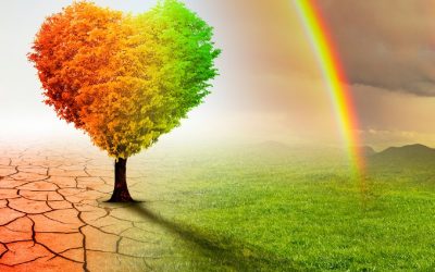 Transición Ecosocial Justa, nuevo monográfico de Dossieres EsF