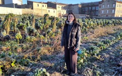 Secanos Vivos, iniciativa de educación medioambiental