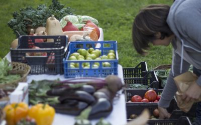 El cooperativismo, ¿una herramienta transformadora en nuestros pueblos?