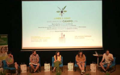 XXIX Jornadas de ESS Reas Aragón