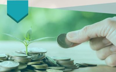 Manuales de Emprendimiento en Economía Social para distintas etapas educativas